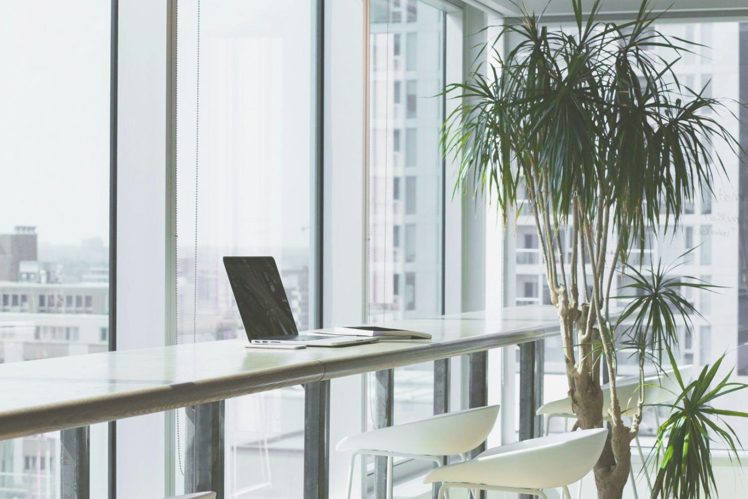 Business planning session with documents and laptop